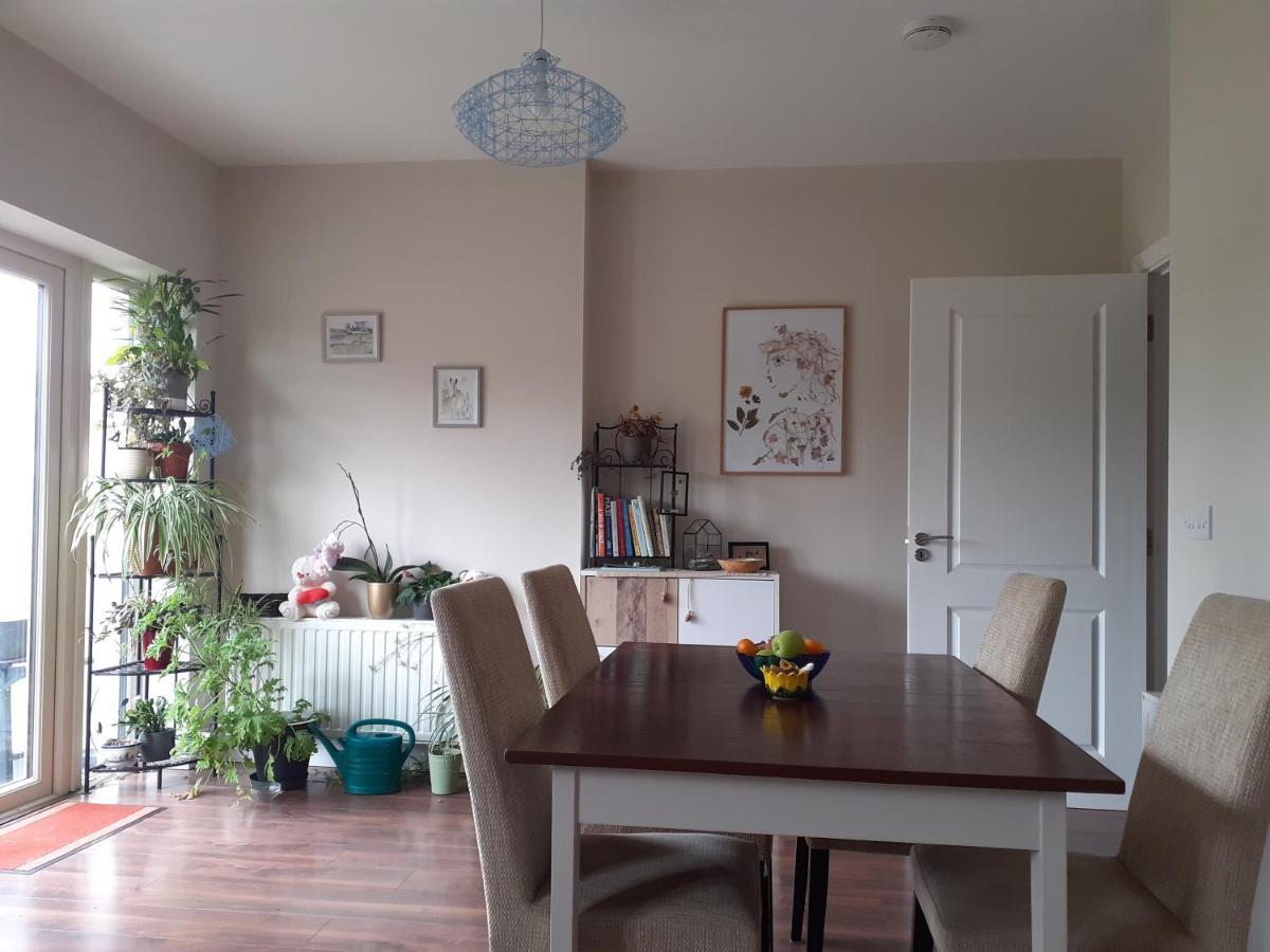Ensuite At The Foot Of Dublin Mountains Extérieur photo
